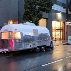 Photo courtesy of Henrik Kam