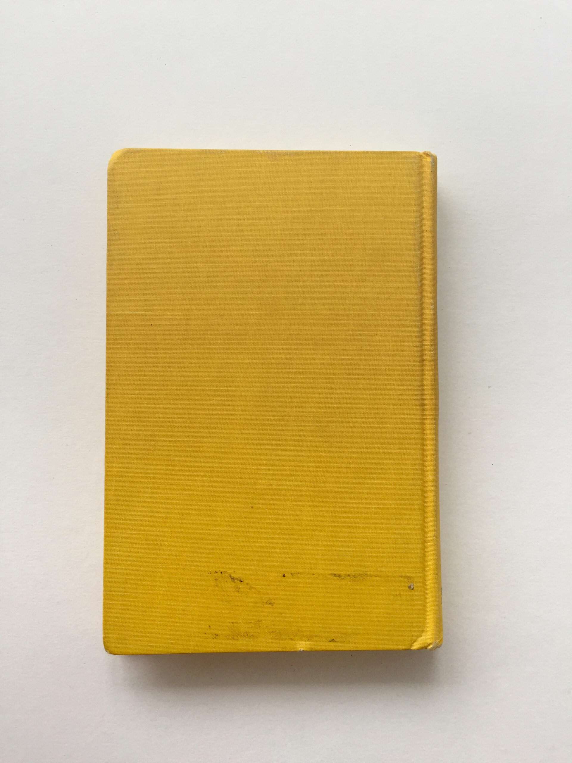 Witold Rybczynski - Image 5